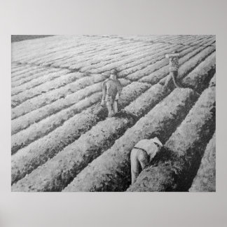 Watsonville Migrant Mexicaanse Arbeiders Poster