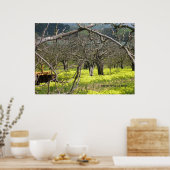 Watsonville Orchard Poster (Keuken)