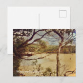 Wattamolla Beach, NSW Briefkaart (Voorkant / Achterkant)