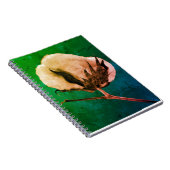 wattenbolletje notitieboek (Rechterzijde)