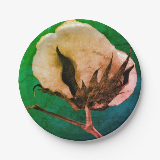 wattenbolletje papieren bordje (Voorkant)