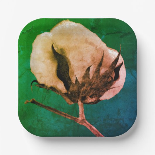 wattenbolletje papieren bordje (Voorkant)