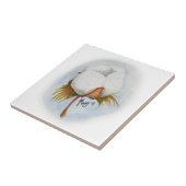 wattenbolletje tegeltje (Zijkant)