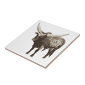 Watusi Koe Tegeltje (Zijkant)