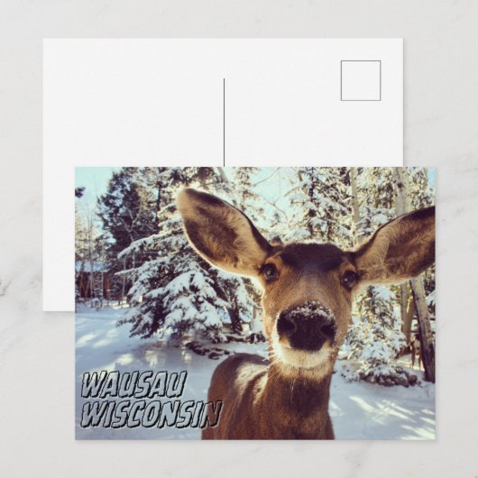 Wausau Wisconsin Briefkaart Schattig Herten (Voorkant / Achterkant)