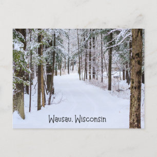 Wausau Wisconsin in de winter Briefkaart