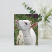 Wauw! Deze gras is groter dan ik Briefkaart (Staand voorkant)