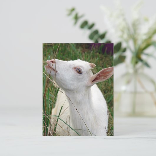 Wauw! Deze gras is groter dan ik Briefkaart (Staand voorkant)