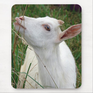 Wauw! Deze gras is groter dan ik Muismat