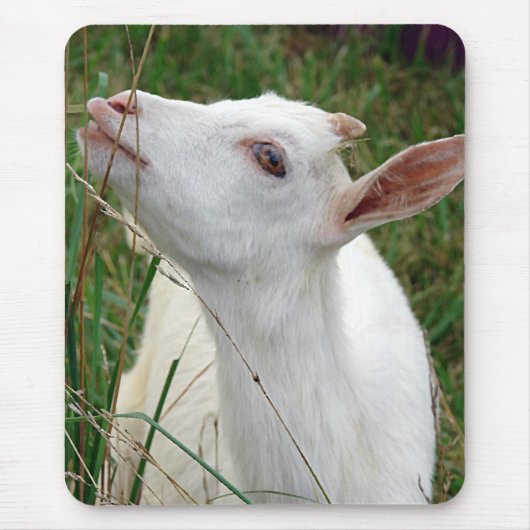 Wauw! Deze gras is groter dan ik Muismat (Voorkant)