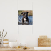 Wave Chaser: Een Staffy Puppy in het spel in de oc Poster (Keuken)