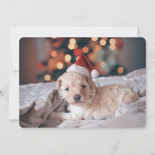 Wave gepersonaliseerde briefpapier notitie fotokaa notitiekaartje (Achterkant)