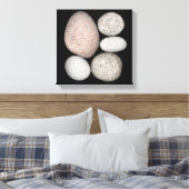 Wave-Rounded Graniet Rocks van verschillende kleur Canvas Afdruk (Insitu (Slaapkamer))