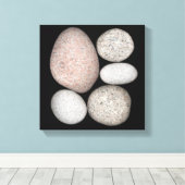 Wave-Rounded Graniet Rocks van verschillende kleur Canvas Afdruk (Insitu (Houten vloer))