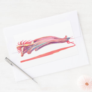 Waved Ballet Dancer Pink Art Rechthoekige Sticker