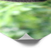 Waver-aap Poster (Hoek)