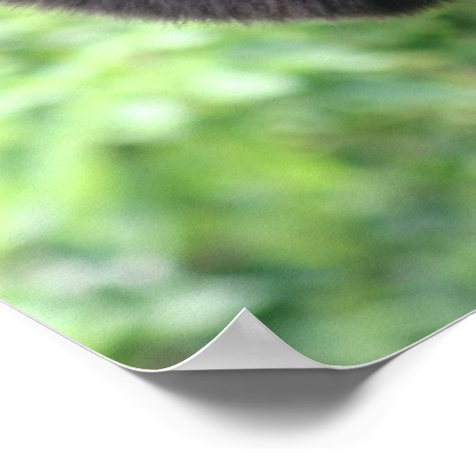 Waver-aap Poster (Hoek)