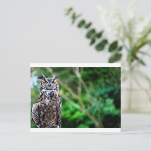 Waver Owl Briefkaart (Staand voorkant)