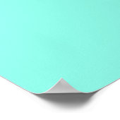 Waveriding Mermaid Thunder_Cove Poster (Hoek)