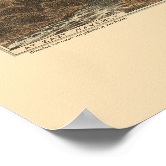 Waverly, NY Panoramic Map - 1881 Poster (Hoek)