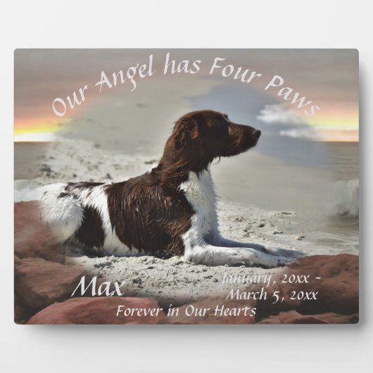 Waves and Boulders Pet Memorial 0893 Fotoplaat (Voorkant)