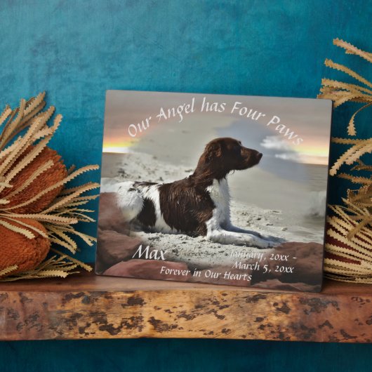 Waves and Boulders Pet Memorial 0893 Fotoplaat (Zijkant)