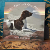 Waves and Boulders Pet Memorial 0893 Fotoplaat