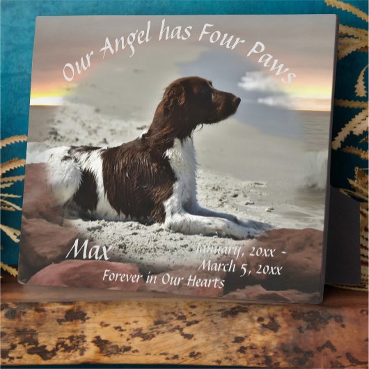 Waves and Boulders Pet Memorial 0893 Fotoplaat