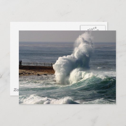 Waves Crashing Seals La Jolla Briefkaart (Voorkant / Achterkant)