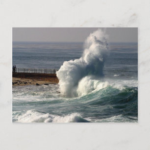 Waves Crashing Seals La Jolla Briefkaart