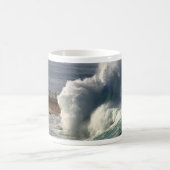 Waves Crashing Seals La Jolla Koffiemok (Center)