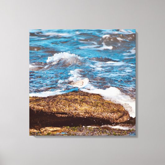 Waves on Rocky Coast shore Ocean Canvas (Voorkant)