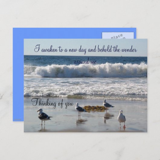 Waves & seagulls_ Briefkaart (Voorkant / Achterkant)