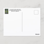 Waving Girl Monument Savannah GA Fotografisch Briefkaart (Achterkant)