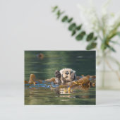 Waving Zee Otter Briefkaart (Staand voorkant)