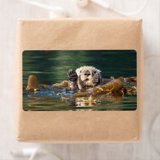 Waving Zee Otter Etiket (Insitu)