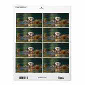 Waving Zee Otter Etiket (Full Sheet)