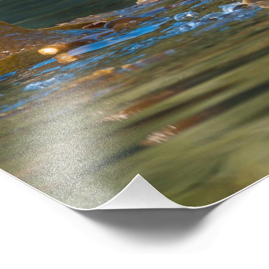 Waving Zee Otter Foto Afdruk (Hoek)