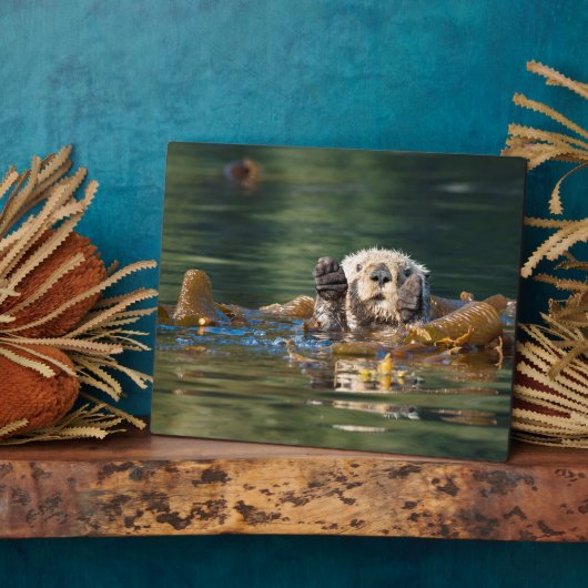 Waving Zee Otter Fotoplaat (Zijkant)