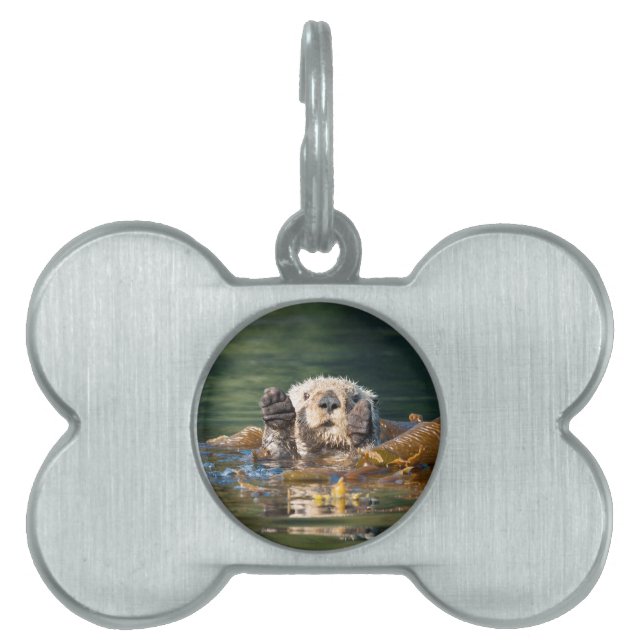 Waving Zee Otter Huisdieren Naamplaatje (voorkant)