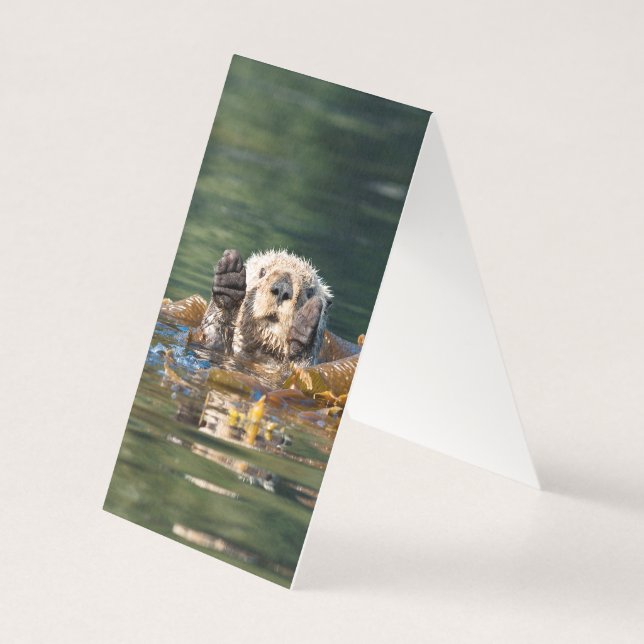 Waving Zee Otter Kaart (Achterkant)