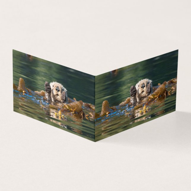 Waving Zee Otter Kaart (Buitenkant)