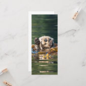 Waving Zee Otter Kaart (Voorkant / Achterkant in situ)