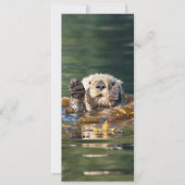 Waving Zee Otter Kaart (Voorkant)