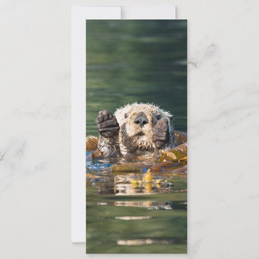 Waving Zee Otter Kaart (Voorkant)
