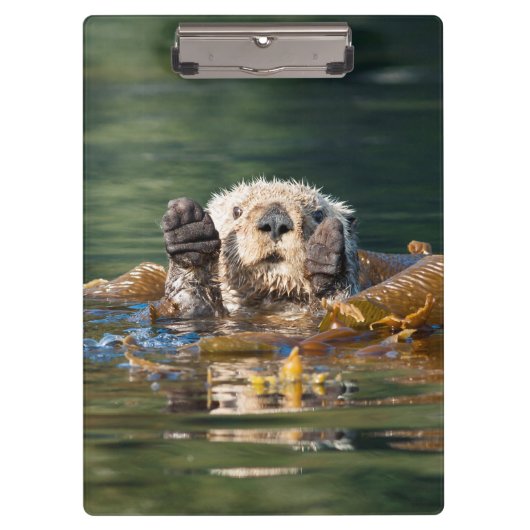 Waving Zee Otter Klembord (Voorkant)