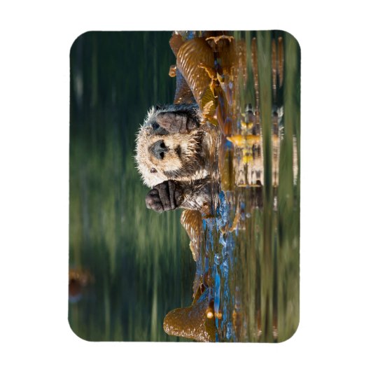 Waving Zee Otter Magneet (Verticaal)