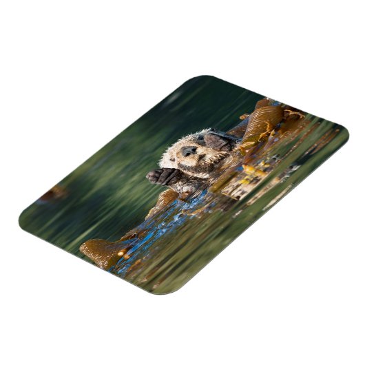 Waving Zee Otter Magneet (Linkerzijde)