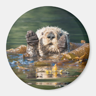 Waving Zee Otter Magneet
