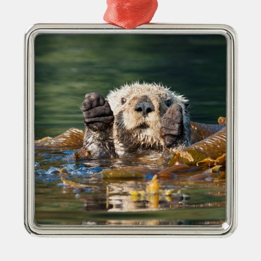 Waving Zee Otter Metalen Ornament (Voorkant)